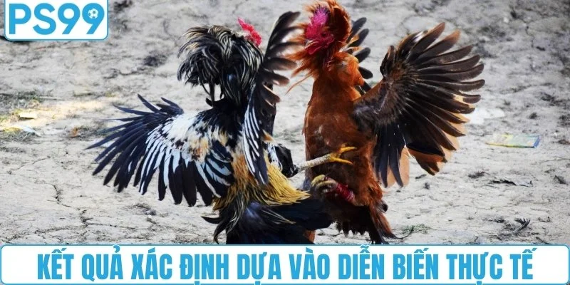 Kết quả xác định dựa vào diễn biến thực tế